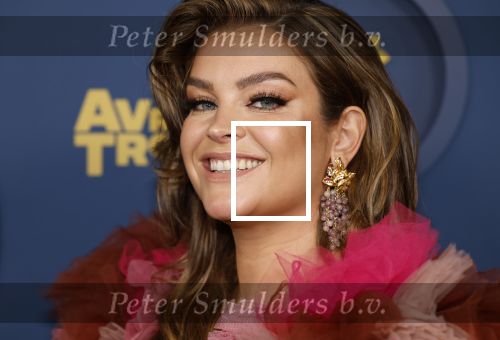 Amsterdam 17 oktober 2024
Het televizierring gala 2024  in carre . Miljuschka Witzenhausen kwam met haar partner