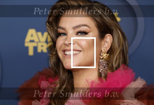Amsterdam 17 oktober 2024
Het televizierring gala 2024  in carre . Miljuschka Witzenhausen kwam met haar partner