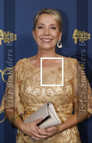 Amsterdam 17 oktober 2024
Het televizierring gala 2024  in carre . Mirjam Busink van B&B Vol Liefde