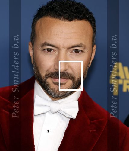 Amsterdam 17 oktober 2024
Het televizierring gala 2024  in carre . Nasrdin Dchar
