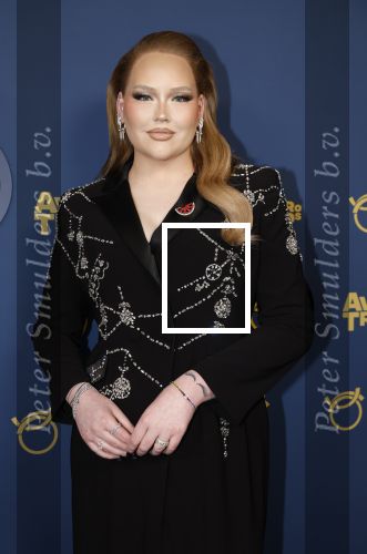 Amsterdam 17 oktober 2024
Het televizierring gala 2024  in carre . Nikkie Tutorials