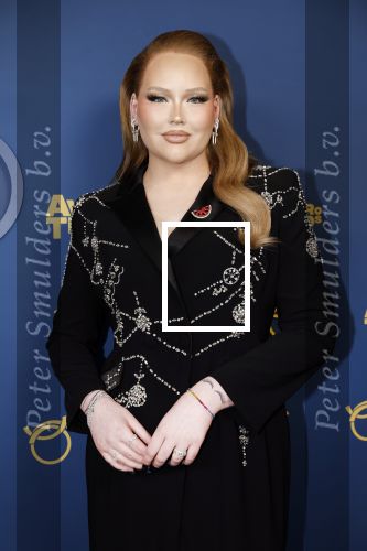 Amsterdam 17 oktober 2024
Het televizierring gala 2024  in carre . Nikkie Tutorials