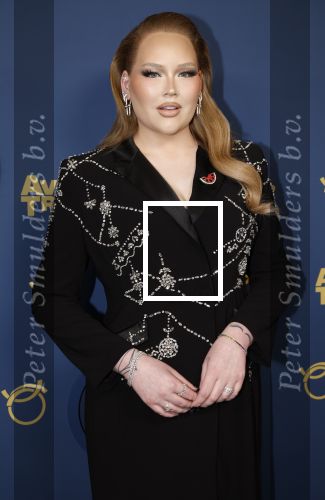 Amsterdam 17 oktober 2024
Het televizierring gala 2024  in carre . Nikkie Tutorials
