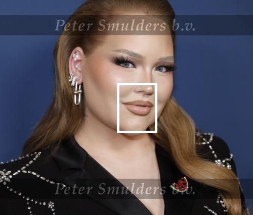Amsterdam 17 oktober 2024
Het televizierring gala 2024  in carre . Nikkie Tutorials