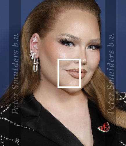 Amsterdam 17 oktober 2024
Het televizierring gala 2024  in carre . Nikkie Tutorials