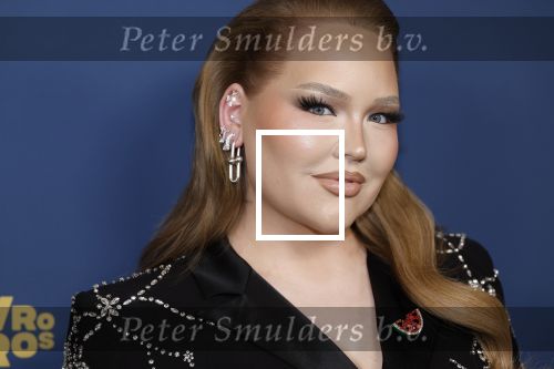 Amsterdam 17 oktober 2024
Het televizierring gala 2024  in carre . Nikkie Tutorials