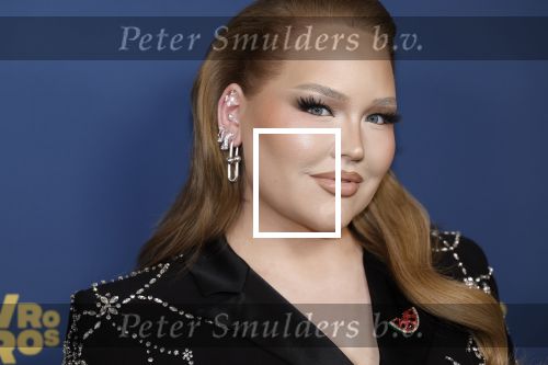 Amsterdam 17 oktober 2024
Het televizierring gala 2024  in carre . Nikkie Tutorials