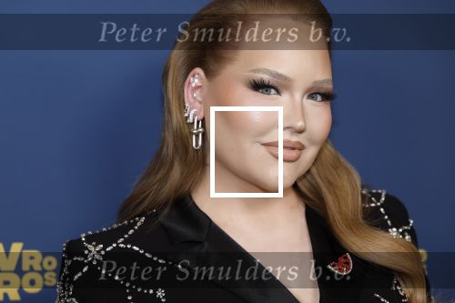 Amsterdam 17 oktober 2024
Het televizierring gala 2024  in carre . Nikkie Tutorials