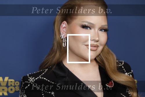 Amsterdam 17 oktober 2024
Het televizierring gala 2024  in carre . Nikkie Tutorials