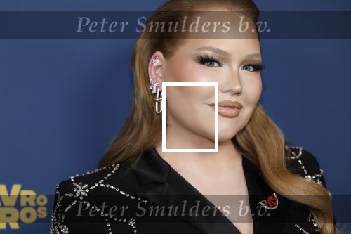 Amsterdam 17 oktober 2024
Het televizierring gala 2024  in carre . Nikkie Tutorials