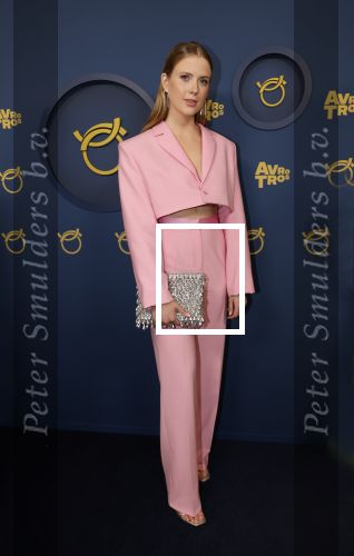 Amsterdam 17 oktober 2024
Het televizierring gala 2024  in carre . Noa Vahle
