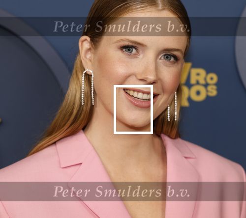 Amsterdam 17 oktober 2024
Het televizierring gala 2024  in carre . Noa Vahle