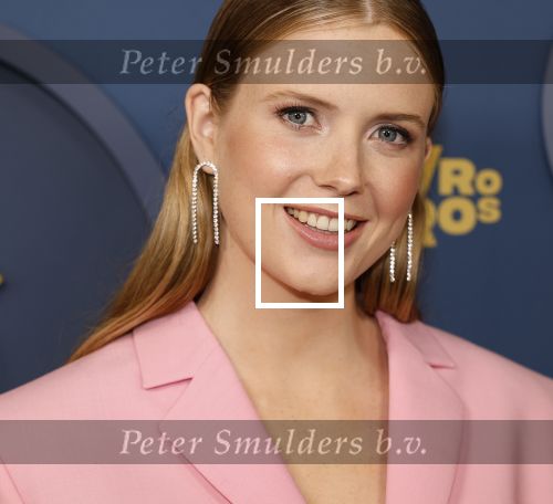 Amsterdam 17 oktober 2024
Het televizierring gala 2024  in carre . Noa Vahle