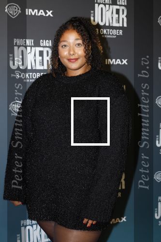 Amsterdam 1 oktober 2024
Premiere the Joker in pathe Arena. Noel v Kleef