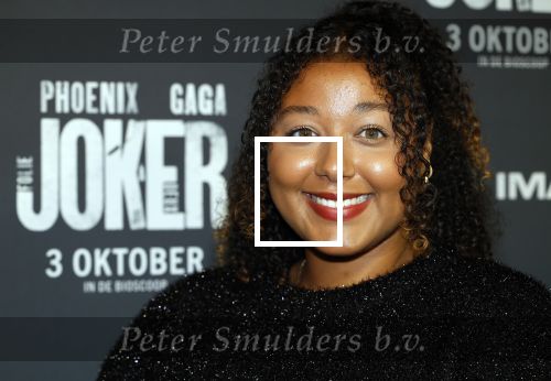 Amsterdam 1 oktober 2024
Premiere the Joker in pathe Arena. Noel v Kleef