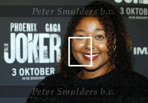 Amsterdam 1 oktober 2024
Premiere the Joker in pathe Arena. Noel v Kleef