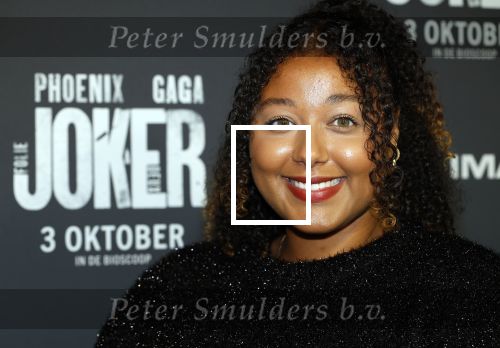 Amsterdam 1 oktober 2024
Premiere the Joker in pathe Arena. Noel v Kleef
