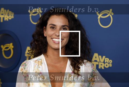 Amsterdam 17 oktober 2024
Het televizierring gala 2024  in carre . Ortal Vriend en renee Fokker