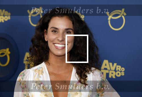 Amsterdam 17 oktober 2024
Het televizierring gala 2024  in carre . Ortal Vriend en renee Fokker