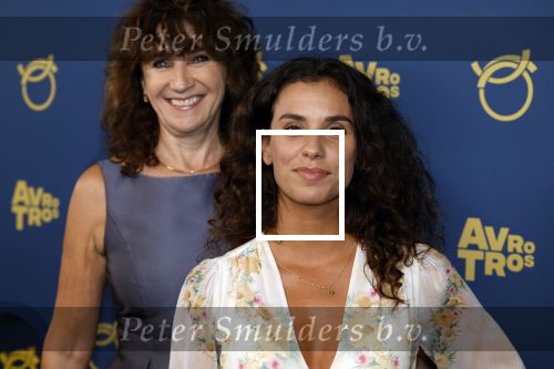 Amsterdam 17 oktober 2024
Het televizierring gala 2024  in carre . Ortal Vriend en renee Fokker