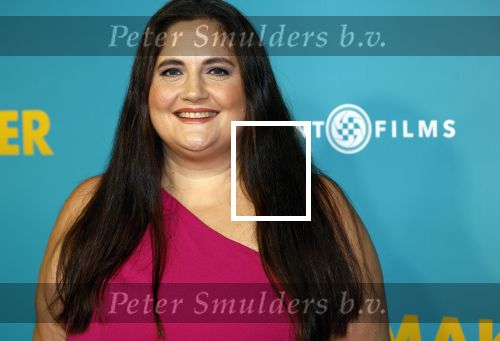 Amsterdam 14 oktober 2024
Premiere de Mannenmaker in Tuschinski met in de hoofdrollen oa Katja Schuurman Eva v d Wijdeven Leo Alkemade Georgina Verbaan Melissas Drost Huub Smit Yasmin Karssing en Rene Watzema . Petra Kruijt met haar partner