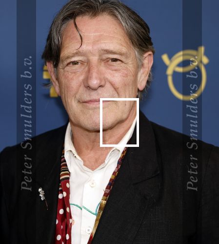Amsterdam 17 oktober 2024
Het televizierring gala 2024  in carre . Pierre Bokma en Claire Binder