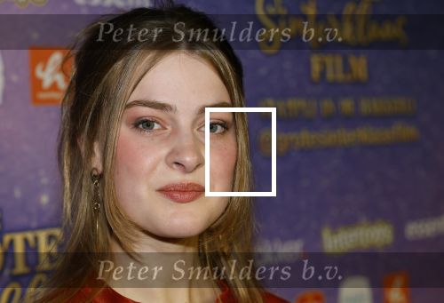 Amsterdam 19 oktober 2024
Premiere de grote Sinterklaasfilm in Tuschinski.