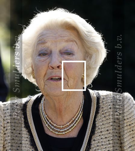 Soestdijk 5 oktober 2024
Prinses Beatrix bij wandeltocht voor het Beatrix Spierfonds op Paleis Soestdijk.
