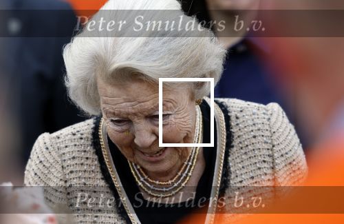 Soestdijk 5 oktober 2024
Prinses Beatrix woordt aangevallen door een wesp op paleis Soestdijk.