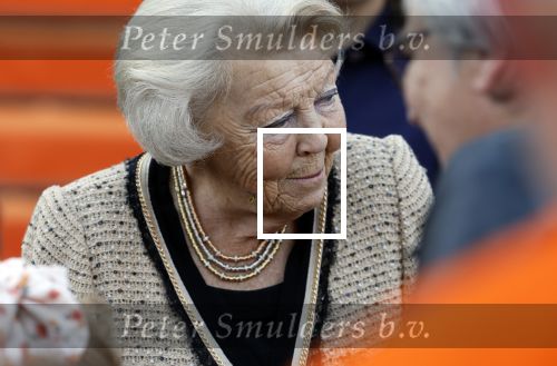 Soestdijk 5 oktober 2024
Prinses Beatrix woordt aangevallen door een wesp op paleis Soestdijk.
