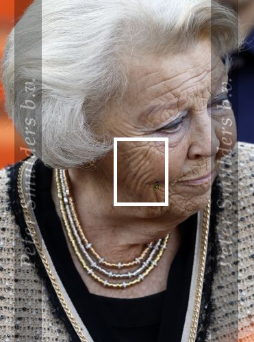 Soestdijk 5 oktober 2024
Prinses Beatrix woordt aangevallen door een wesp op paleis Soestdijk.