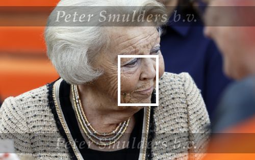 Soestdijk 5 oktober 2024
Prinses Beatrix woordt aangevallen door een wesp op paleis Soestdijk.