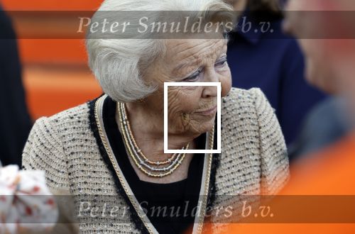 Soestdijk 5 oktober 2024
Prinses Beatrix woordt aangevallen door een wesp op paleis Soestdijk.