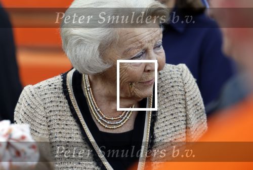 Soestdijk 5 oktober 2024
Prinses Beatrix woordt aangevallen door een wesp op paleis Soestdijk.