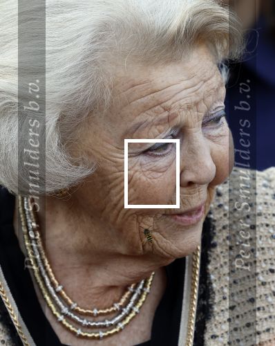 Soestdijk 5 oktober 2024
Prinses Beatrix woordt aangevallen door een wesp op paleis Soestdijk.