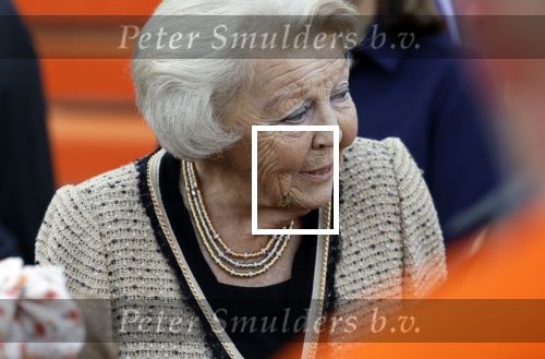 Soestdijk 5 oktober 2024
Prinses Beatrix woordt aangevallen door een wesp op paleis Soestdijk.