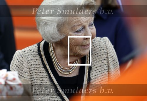 Soestdijk 5 oktober 2024
Prinses Beatrix woordt aangevallen door een wesp op paleis Soestdijk.