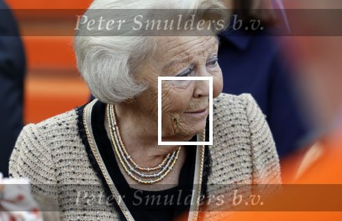 Soestdijk 5 oktober 2024
Prinses Beatrix woordt aangevallen door een wesp op paleis Soestdijk.