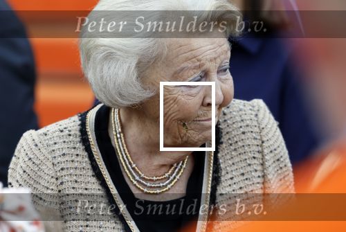 Soestdijk 5 oktober 2024
Prinses Beatrix woordt aangevallen door een wesp op paleis Soestdijk.