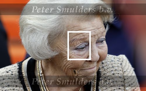Soestdijk 5 oktober 2024
Prinses Beatrix woordt aangevallen door een wesp op paleis Soestdijk.