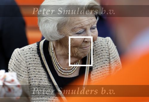 Soestdijk 5 oktober 2024
Prinses Beatrix woordt aangevallen door een wesp op paleis Soestdijk.