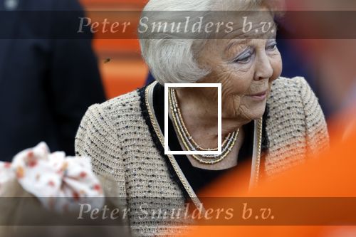 Soestdijk 5 oktober 2024
Prinses Beatrix woordt aangevallen door een wesp op paleis Soestdijk.