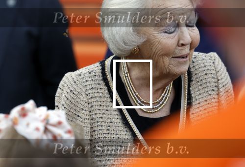 Soestdijk 5 oktober 2024
Prinses Beatrix woordt aangevallen door een wesp op paleis Soestdijk.