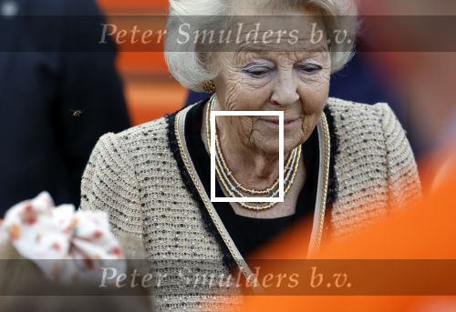 Soestdijk 5 oktober 2024
Prinses Beatrix woordt aangevallen door een wesp op paleis Soestdijk.