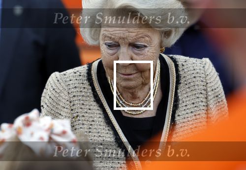 Soestdijk 5 oktober 2024
Prinses Beatrix woordt aangevallen door een wesp op paleis Soestdijk.