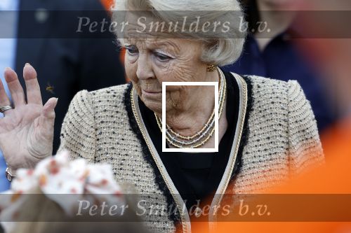 Soestdijk 5 oktober 2024
Prinses Beatrix woordt aangevallen door een wesp op paleis Soestdijk.
