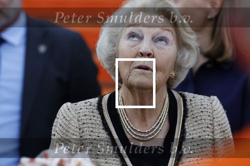 Soestdijk 5 oktober 2024
Prinses Beatrix woordt aangevallen door een wesp op paleis Soestdijk.