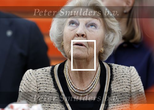 Soestdijk 5 oktober 2024
Prinses Beatrix woordt aangevallen door een wesp op paleis Soestdijk.
