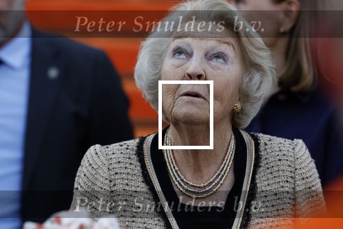 Soestdijk 5 oktober 2024
Prinses Beatrix woordt aangevallen door een wesp op paleis Soestdijk.