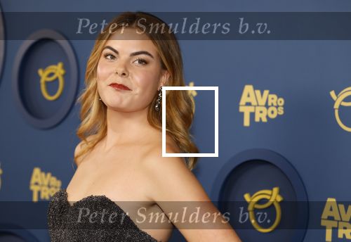 Amsterdam 17 oktober 2024
Het televizierring gala 2024  in carre .  Prinses Eloise